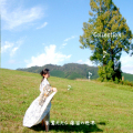 Collection����������� ��ū��������3682��